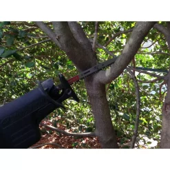 Budget 👍 DIABLO 9 In. 5 TPI Fleam Ground/Pruning Reciprocating Saw Blade ⭐ -saw-blades Shop unnamed file 2463