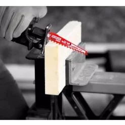 Promo ⌛ DIABLO 12 In. Carbide Pruning And Clean Wood Cutting Reciprocating Saw Blade (10-Pack) 🧨 -saw-blades Shop unnamed file 2703